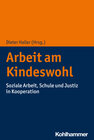 Buchcover Arbeit am Kindeswohl