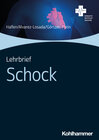 Buchcover Lehrbrief Schock