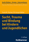 Buchcover Sucht, Trauma und Bindung bei Kindern und Jugendlichen