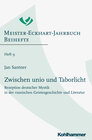 Buchcover Zwischen unio und Taborlicht