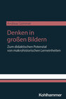 Buchcover Denken in großen Bildern