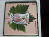 Buchcover Weinviertel