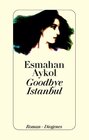 Buchcover Goodbye Istanbul