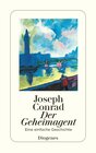 Buchcover Der Geheimagent