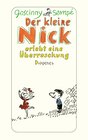 Buchcover Der kleine Nick erlebt eine Überraschung