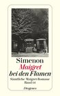 Buchcover Maigret bei den Flamen