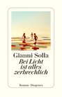 Buchcover Bei Licht ist alles zerbrechlich