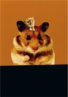 Buchcover Ohne Titel / Hamster (Postkarte, 20 Ex)