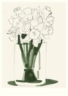 Buchcover Daffodils (Postkarte, 20 Ex)