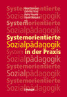 Buchcover Systemorientierte Sozialpädagogik in der Praxis