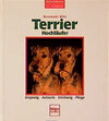 Buchcover Terrier /Hochläufer