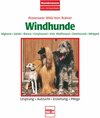 Buchcover Windhunde - Afghane/Saluki/Barsoi/Greyhound/Irish Wolfhound/Deerhound/