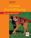 Buchcover Sinnvolle Beschäftigung