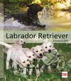 Buchcover Labrador Retriever