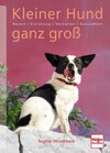 Buchcover Kleiner Hund ganz groß