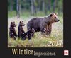 Buchcover Wildtier Impressionen 2014