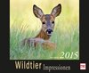 Buchcover Wildtier Impressionen Kalender 2015