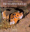 Buchcover Im Hamsterbau