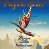 Buchcover Magnetic Storm