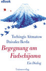 Buchcover Begegnung am Fudschijama