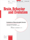 Buchcover Evolution of Neurotrophic Factors