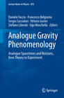 Buchcover Analogue Gravity Phenomenology