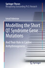 Buchcover Modelling the Short QT Syndrome Gene Mutations