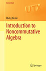 Buchcover Introduction to Noncommutative Algebra