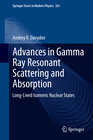 Buchcover Advances in Gamma Ray Resonant Scattering and Absorption