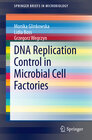 Buchcover DNA Replication Control in Microbial Cell Factories