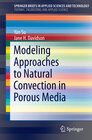 Buchcover Modeling Approaches to Natural Convection in Porous Media