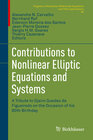 Buchcover Contributions to Nonlinear Elliptic Equations and Systems