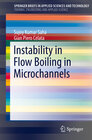 Buchcover Instability in Flow Boiling in Microchannels
