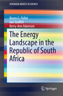 Buchcover The Energy Landscape in the Republic of South Africa