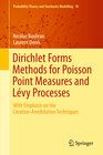 Buchcover Dirichlet Forms Methods for Poisson Point Measures and Lévy Processes
