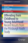 Buchcover Offending from Childhood to Young Adulthood