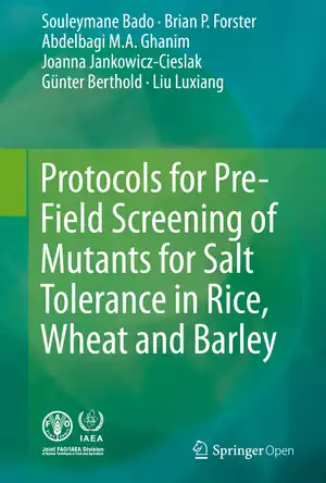 Buchcover ISBN 9783319265902