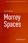 Buchcover Morrey Spaces