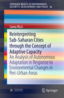 Buchcover Reinterpreting Sub-Saharan Cities through the Concept of Adaptive Capacity