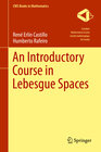 Buchcover An Introductory Course in Lebesgue Spaces