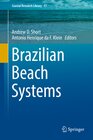 Buchcover Brazilian Beach Systems