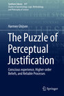 Buchcover The Puzzle of Perceptual Justification