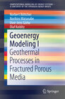 Buchcover Geoenergy Modeling I