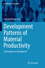 Buchcover Development Patterns of Material Productivity