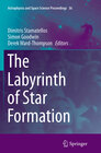 Buchcover The Labyrinth of Star Formation