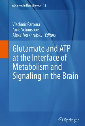 Buchcover ISBN 9783319376455