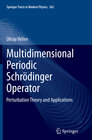 Buchcover Multidimensional Periodic Schrödinger Operator