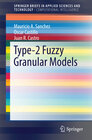 Buchcover Type-2 Fuzzy Granular Models