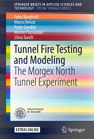 Buchcover ISBN 9783319495163