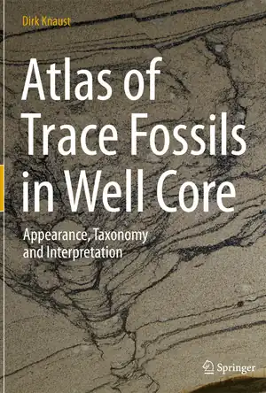 Buchcover ISBN 9783319498379